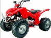 110CC ATV  Air Cooled, 4-Stroke, Single Cylinder
