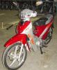 110cc Motorcycle (Cub)