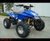 110cc Quad Bike