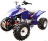 110cc Raptor ATV