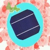 125 monocrystalline silicon solar cell/silicon solar cell/Solar cell / Pv Solar cell / Solar Products