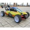 1/5 Scale 2WD Radio Control Buggy