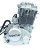 250cc single cylinder, 4 stroke,OHC engine
