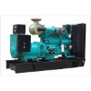 250kva Cummins Diesel Generator/ Diesel Gen Set/ Diesel Generating Set/ Diesel Generator Set
