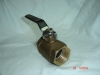 2 piece Body Bronze Ball Valve