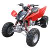 300cc ATV (New Model)