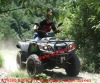 300cc Utility ATV, CVT, 2x4/4x4, EEC Approved