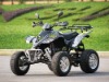 300cc water cooled ATV with EEC Homologation