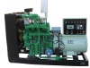 40kw gasoline generator set
