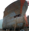 5000 bulk carrier