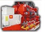 600KW/750KVA 400V 50Hz Natural Gas Generator (600GF1-RT)