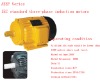 AEEF Series motors