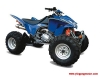 ATV Motorcycle (YG250ATV-6)