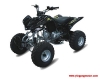 ATV  (YG110ATV )