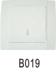 B019 Wall Switch