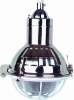 BAD54-G250 Type stainless-steel explosion-proof lamp(e)