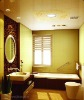 Bathroom Ceiling Appliance