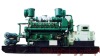 Biogas/Landfill Generator (500GF1-1RZ)
