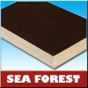 Birch & Pine Film Faced Plywood