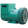 Brushless permanent magnetism alternator