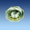 CL1008 ceiling lamp