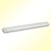 Ceiling light(ceiling lamp,lighting)