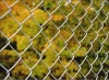 Chain Link mesh
