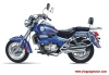 Chopper Motorcycle ( YG250-6 )