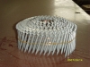 Coil Nails
