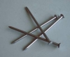 Common Nails with high quality