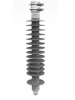 Composite Insulator for electrified railway