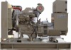 Cummins Diesel Genset(55KW)