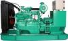 Cummins Diesel Genset (85KW)