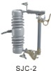 Cut Out Fuse