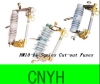 Cut-out Fuses