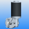 DC Worm Gear Motor  (D63L)