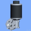 DC Worm Gear Motor  (D76L-H)