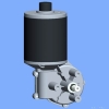 DC Worm Gear Motor(D76R-E)