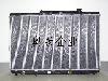 DPI 1318 radiator