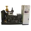Diesel Generating Set with ATS