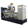Diesel Generating Set with Steyr's Power