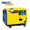 Diesel Generator(RPD65000I)