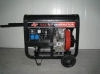 Diesel Generator Set (Luxury Type)