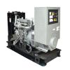 Diesel Generator Set (TD226-3 Engine)