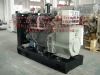 Diesel Generator (Water-Cooled/Open Type)
