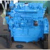 Diesel engines weichai R/495 series for generators