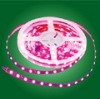 Digital Led light flexible flex Chip RGB Ribbons strips