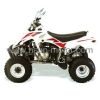 EEC&EPA ATV
