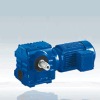 EWS Helical Worm Gear Reducer
