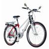 Electric Bicycle